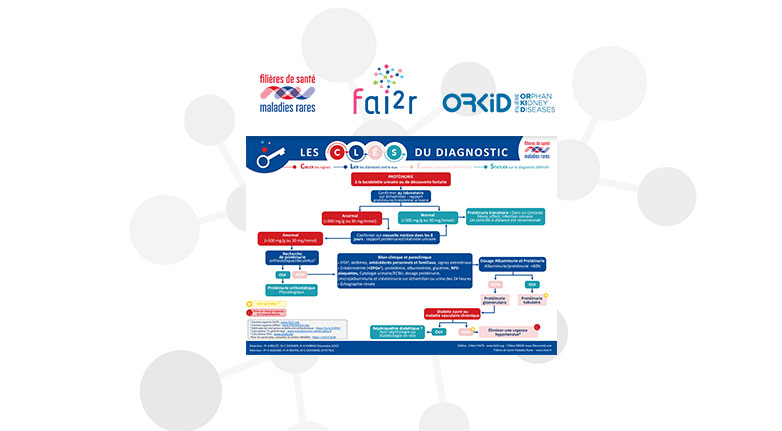 Les CLÉS du diagnostic : Nouvelle publication pour la protéinurie à la bandelette urinaire ou de découverte fortuite, un partenariat des filières FAI²R et ORKiD